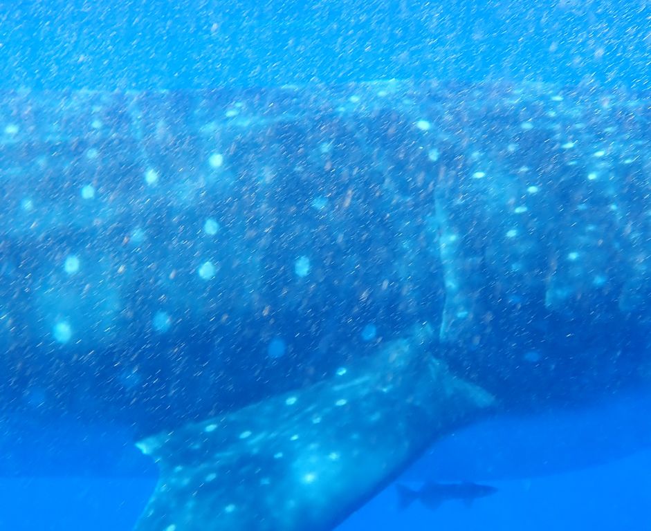 fe2d9470-e9e1-41fb-83c3-3e8b2a5e0038