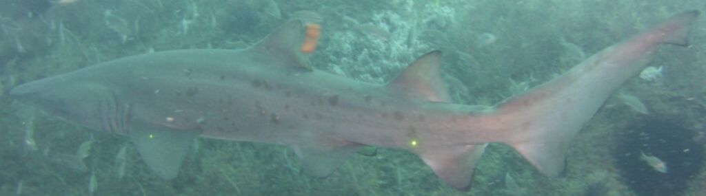 9f1bc54d-d870-49e4-90a0-f8c0a50fd29c