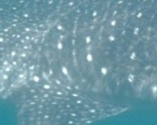 712b71c3-e829-490a-9eaf-b825986949e2