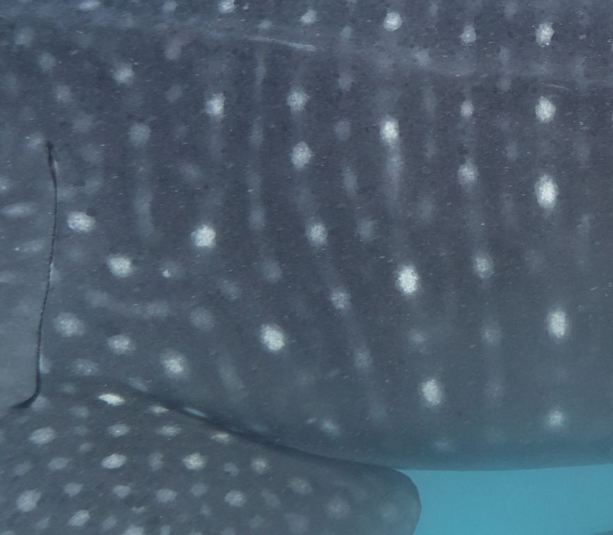 bea4cf11-e517-46cf-bf80-76ce60a1b683