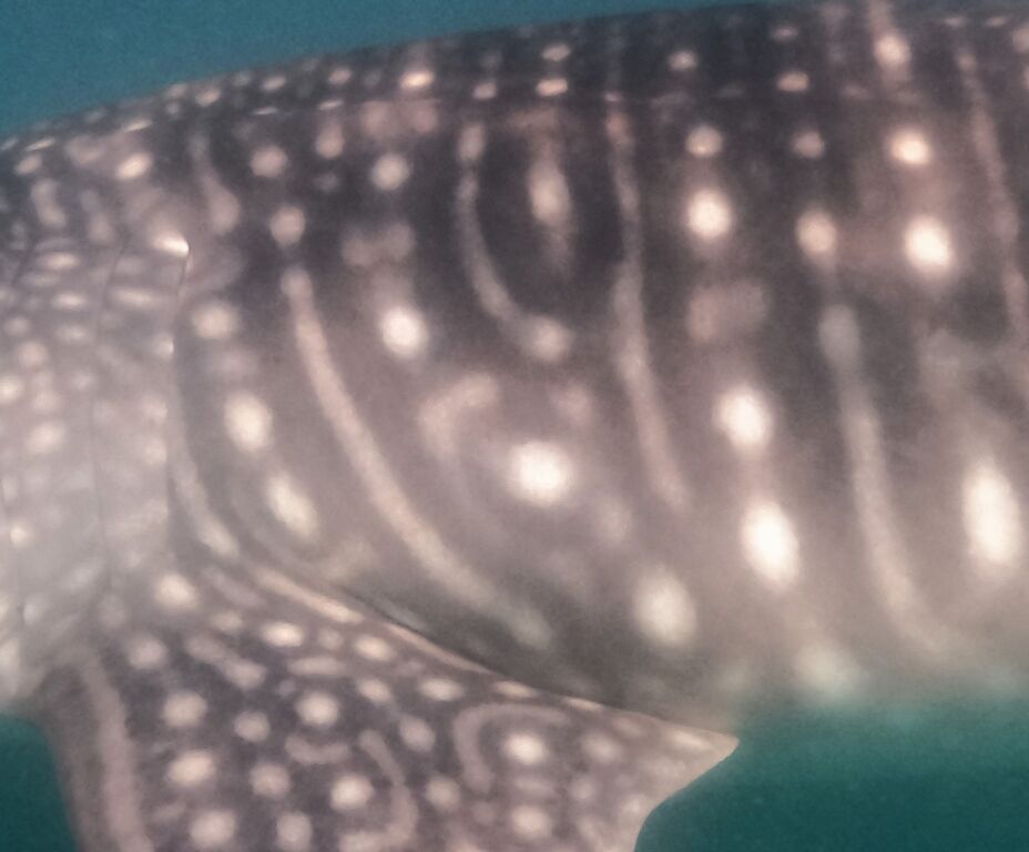 c135ada6-08ba-4076-9fec-78ba2fb06f60