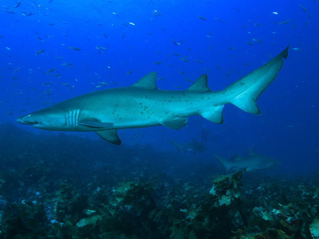 72217ea3-4a96-43d4-84df-198fd8acb00e