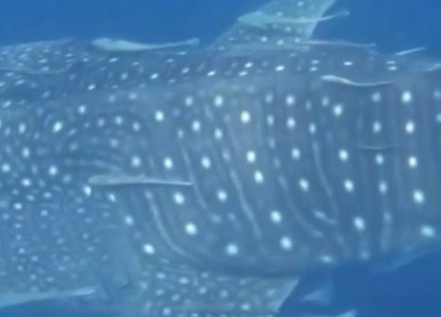 16ce2620-78c1-4d8f-939b-d6b62e3f8f67