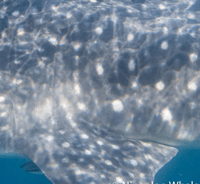 3220dd36-7525-4c4b-90aa-b4bc569fe1bb