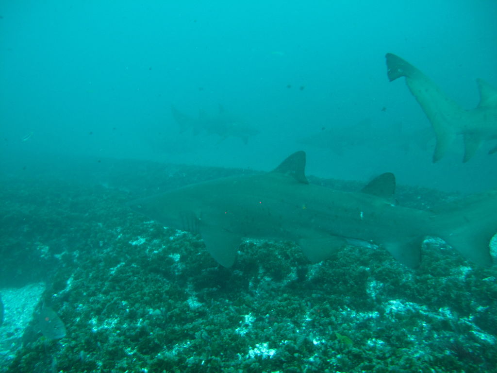 963a4d27-4282-459e-afc1-6084455633cd