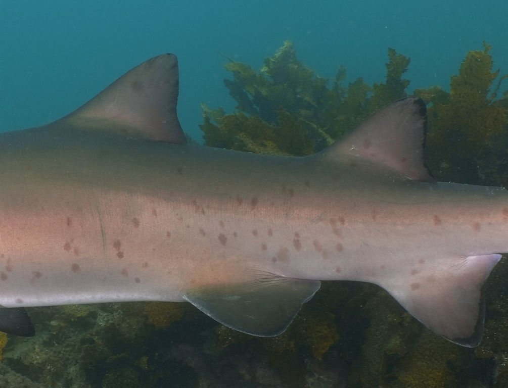 0d82d35d-eb53-430f-91c5-30422e86de66