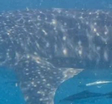 94acd9ac-e9ef-4ea1-9063-7c0448f24f6c