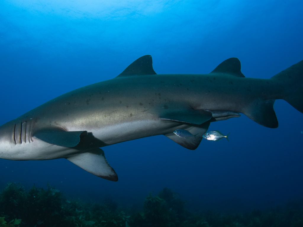 1e640785-6ce6-4ea2-837c-7dc87ed9f21e