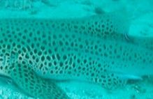 790b3f13-2f99-4644-9f22-0dd718bd5fde