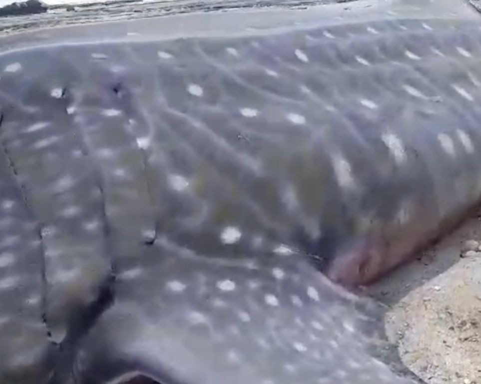 28df4429-cbe7-4200-a8fe-d3a02e6b5433