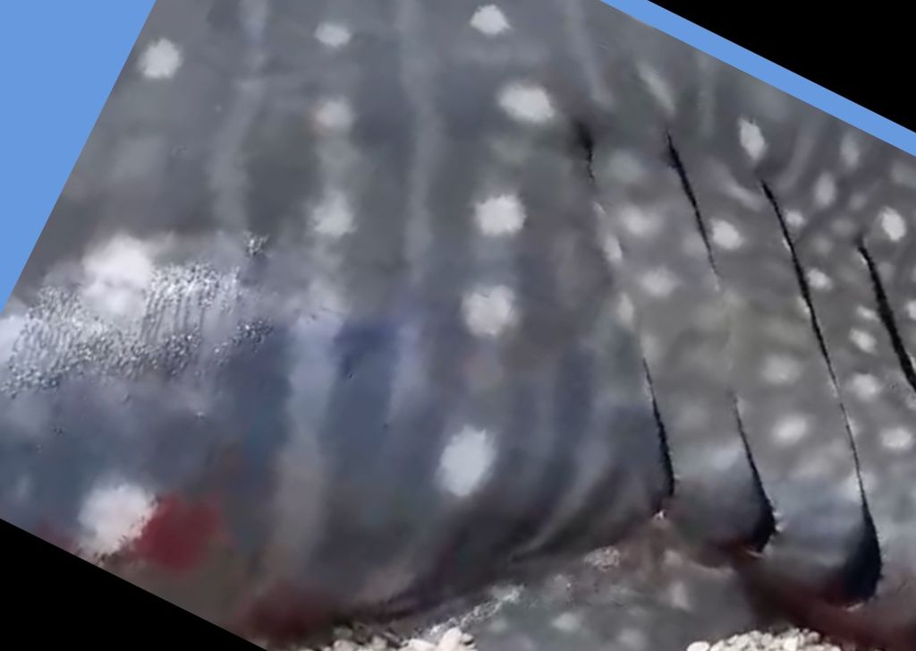 28df4429-cbe7-4200-a8fe-d3a02e6b5433