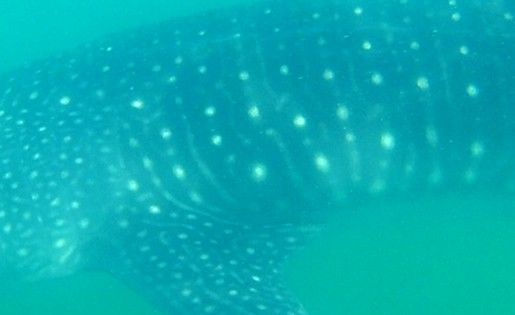 d54d6acf-f0b7-447b-ac16-396e72ea72a4