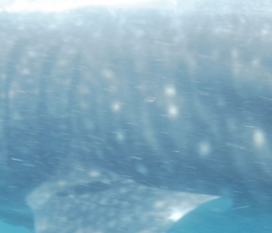 4c3f190d-3b8a-4417-b6ab-a1c0c0ad6ed3