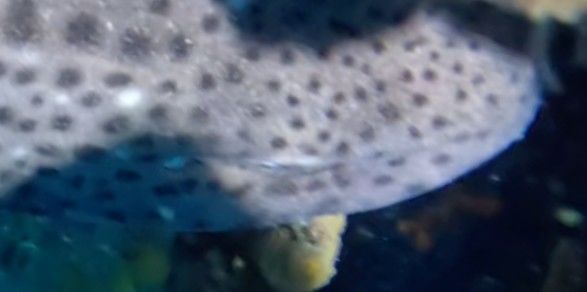 0d9a6d8f-27b0-4a24-8997-645d5e9d416e