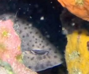 0d9a6d8f-27b0-4a24-8997-645d5e9d416e