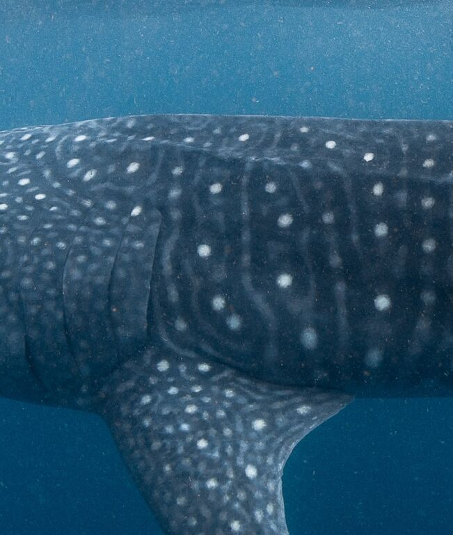 3a317da5-1cb4-412f-b840-4404e9d65183