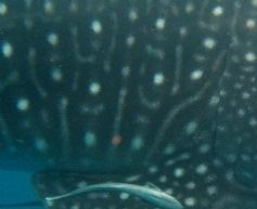 d3d892ad-3d6e-4b3b-ae11-fd0297ed7113