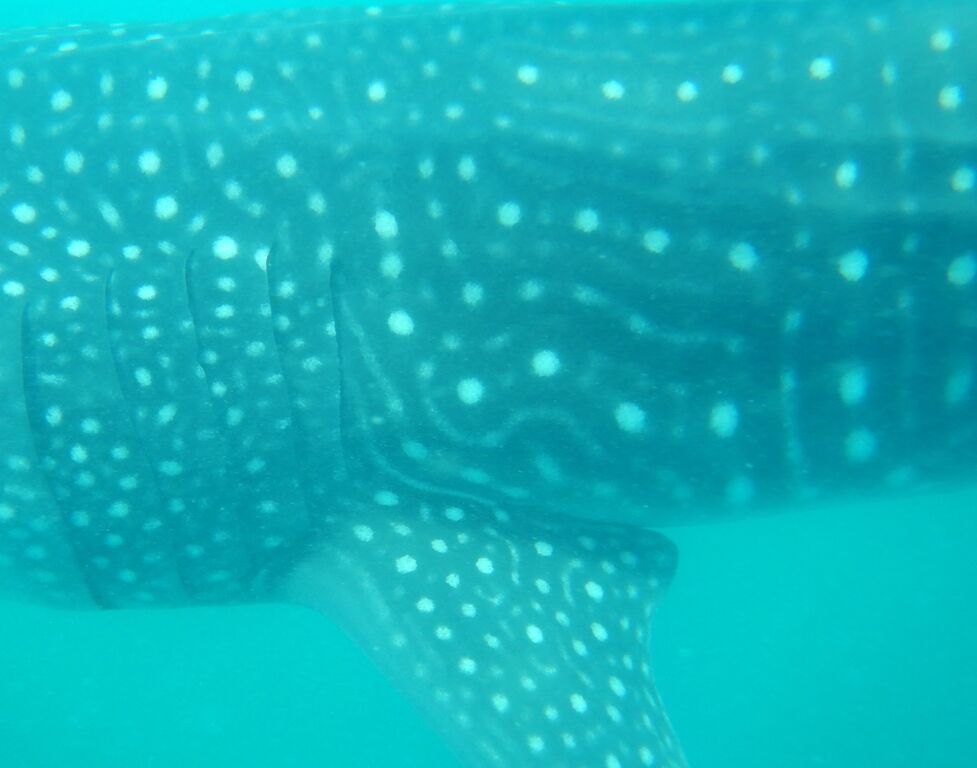 ad45ace8-0433-4c46-a2ba-78d0fde74623