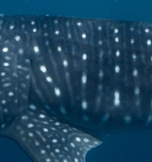 c4e92c13-5d74-458b-8461-7d197081aee2