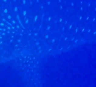 c6c5d641-f12e-4b40-a89a-e551af13cb38