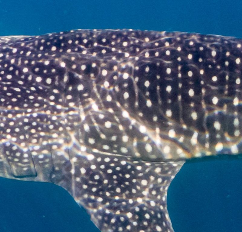 64b0d6bd-18e0-4b9b-a7a3-7b6ae0c8e4c6