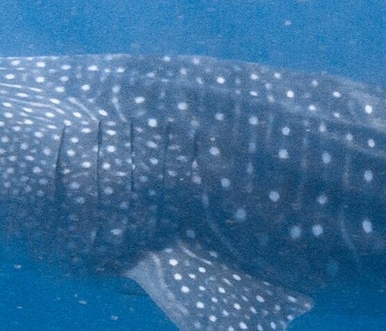 86fb806f-f102-4b99-8a4e-8490f5f3162b