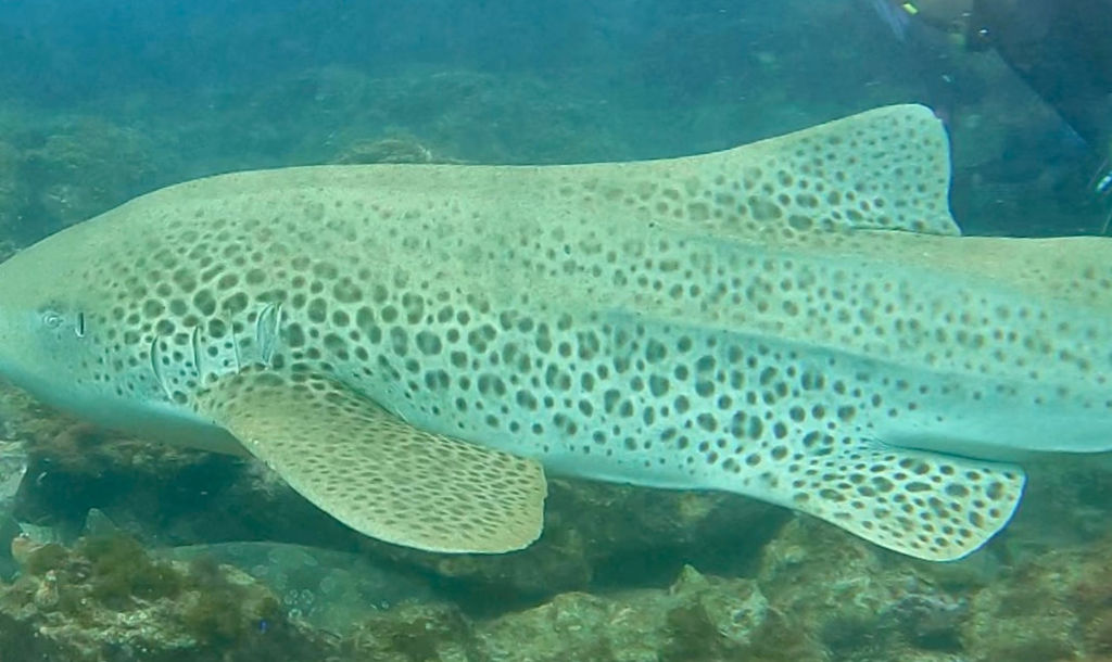 11ac9c92-9de2-450e-ae41-5c5e0ba7c702