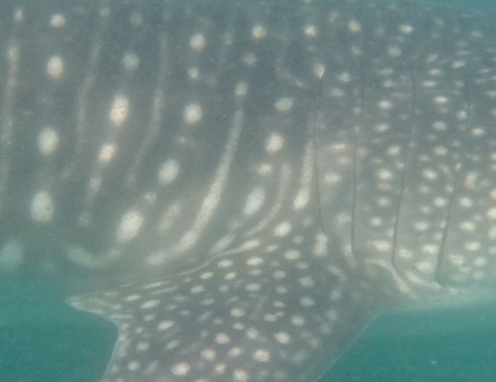 df7eef68-41f3-424c-9529-07f7f83cb67a