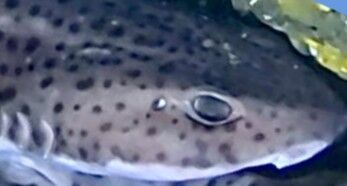 ce5975c7-a737-4188-8214-ebbd75db5203