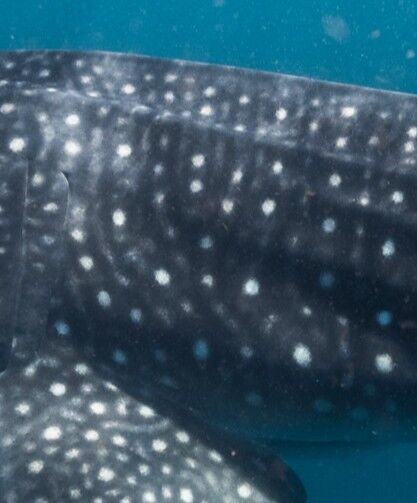 c1192c95-4b98-4899-b78f-d44c83f21664