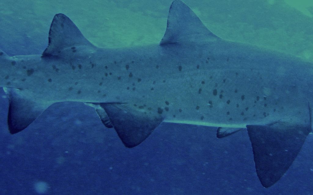 0eee0077-fc06-40ee-90cd-445c86116a8f