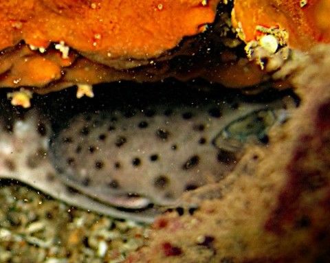 003a367b-edf1-4f97-b085-70ad61df53cd