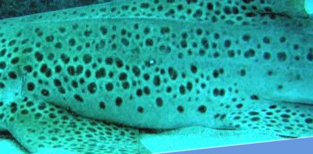 734ab117-4a63-4fe9-b87e-32f72312993e