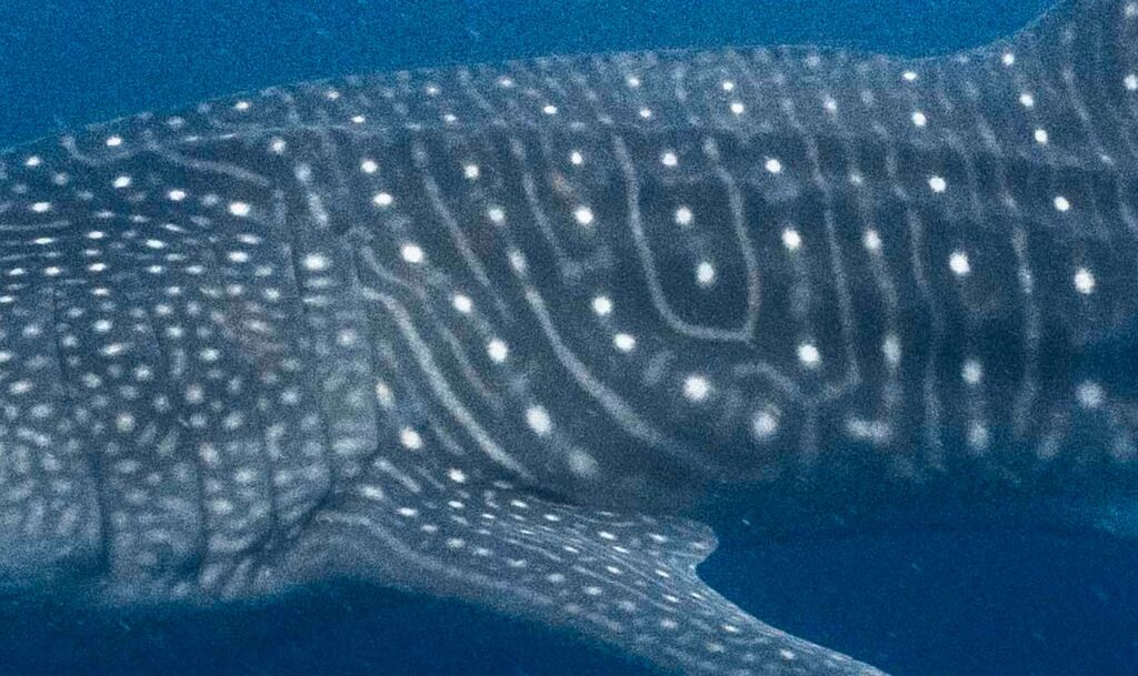 784b2540-b85a-4143-b395-c15aa7182762