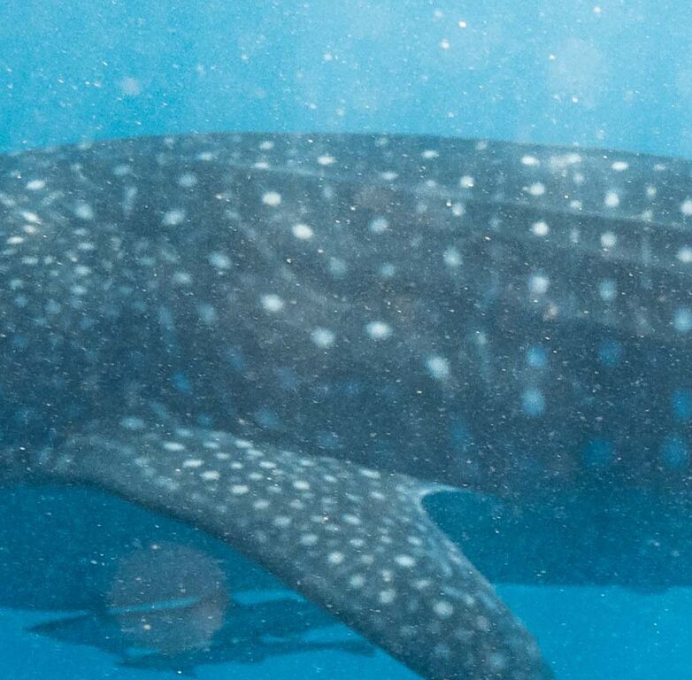 2aa0d8e1-9634-4967-ab7e-8768f46f4f23