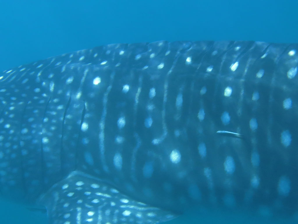 63bc75fd-75e8-430b-9ef7-9ff5a3fe0777