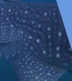 ce46d265-b78f-4f66-961d-bcc075af90b6