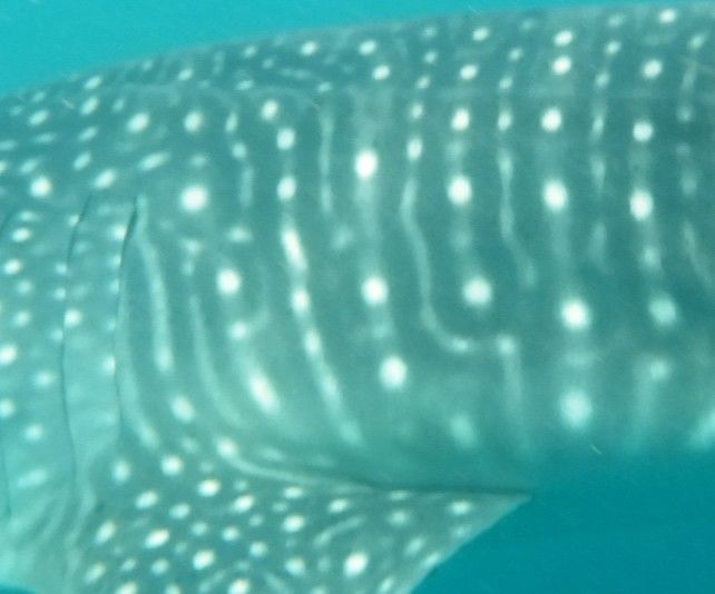 bd7d1690-5c47-4165-a4e8-04fee2a189b3