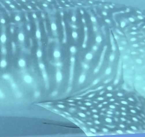 bd7d1690-5c47-4165-a4e8-04fee2a189b3