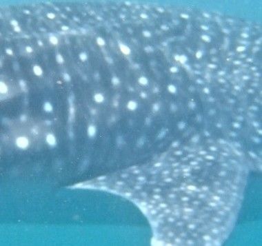 734fe89f-6fd7-43de-8f89-90c879613ede