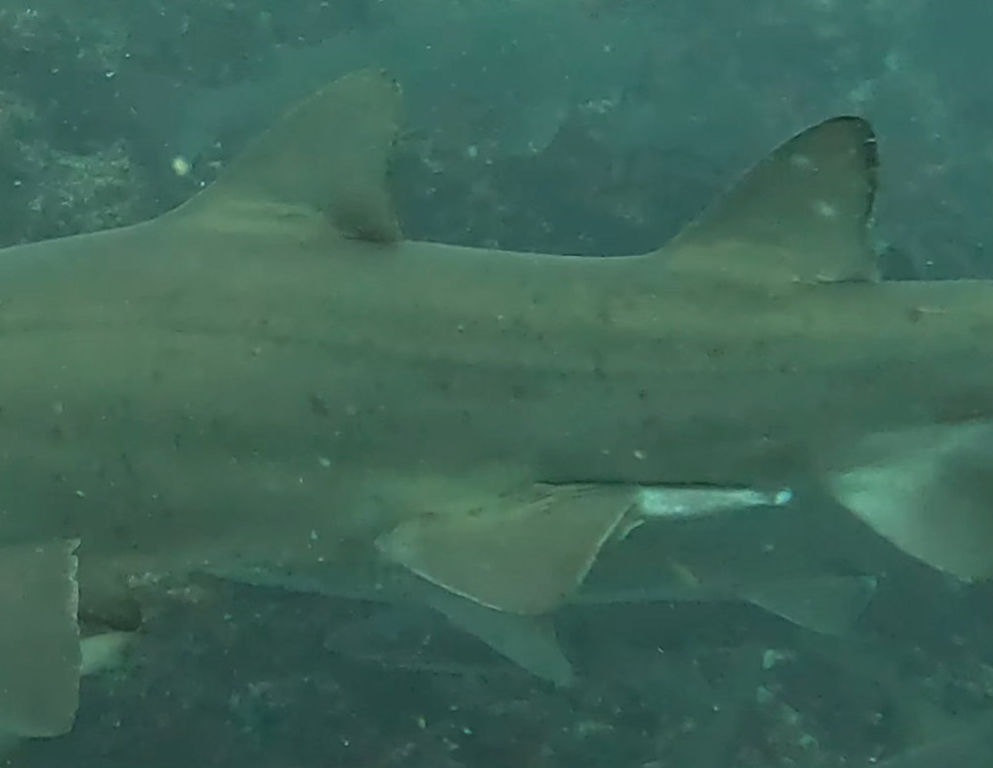 aa5b069d-1189-42d5-bd6a-66e26d1e190d