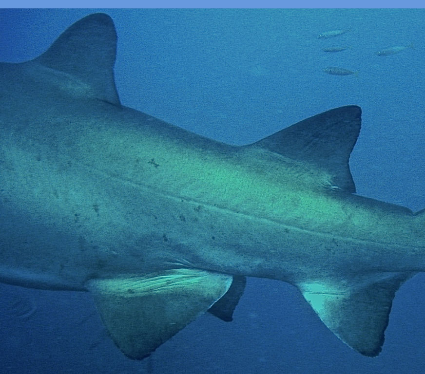 97f0e6e8-f95f-47f6-8a6c-6b6d901fdc5b