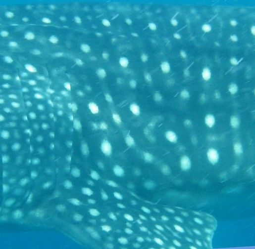 87876ae3-a9d4-4dba-9d9d-fbe14121b15e