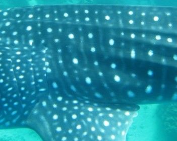 51634214-660f-4ad4-a3a0-1ed099bdfa81