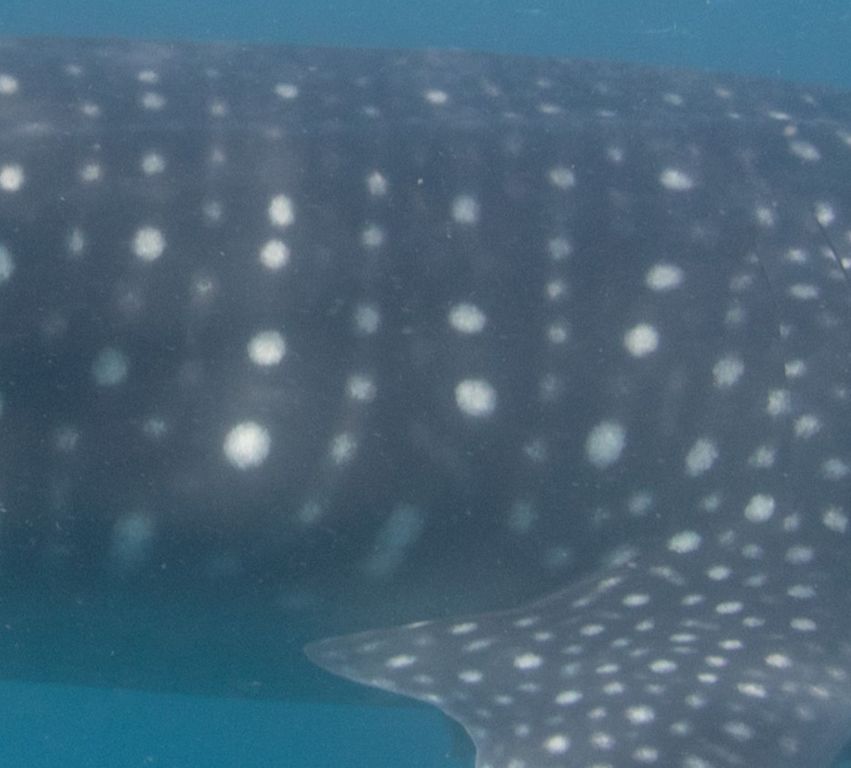 5d572340-7f69-49fb-bc4f-eb66ccf7da5f