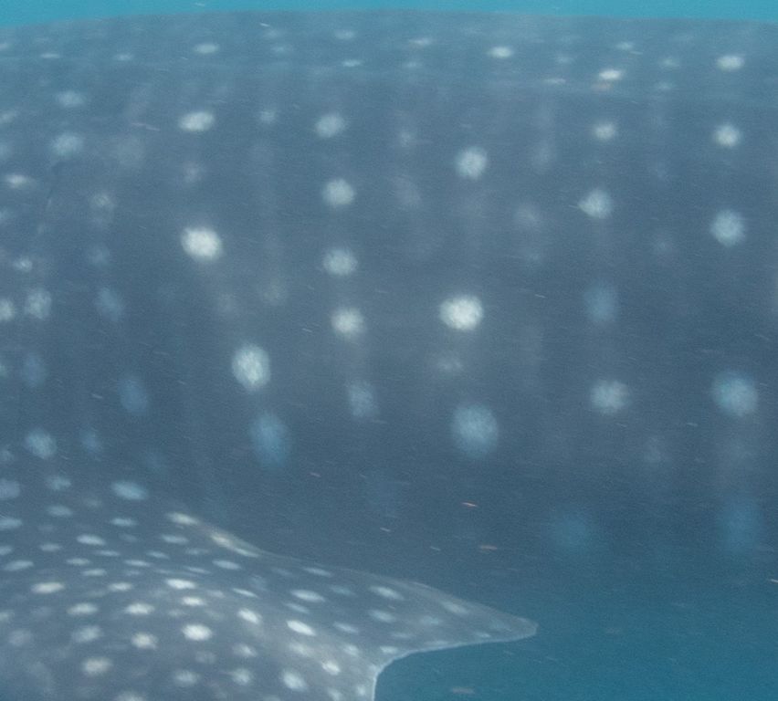 5d572340-7f69-49fb-bc4f-eb66ccf7da5f