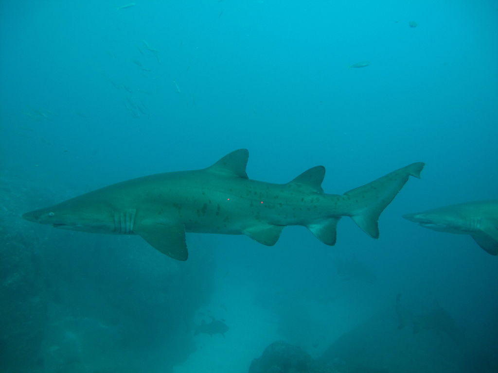 ede06208-a448-4840-84a4-989607785747