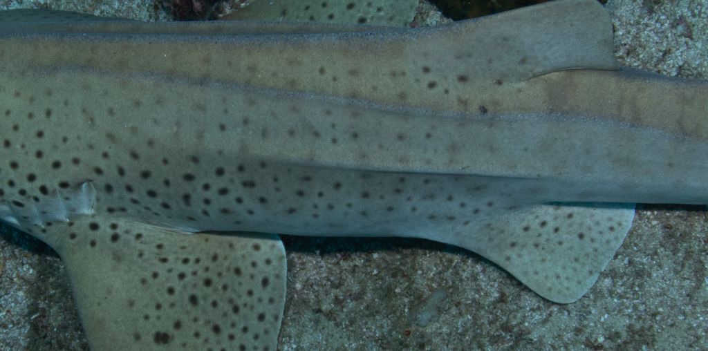 9cf6c5f9-c93e-476d-bd56-e8723176f63f