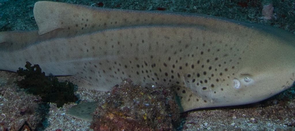 9cf6c5f9-c93e-476d-bd56-e8723176f63f