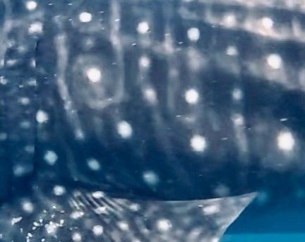 ee594a7a-2236-4fa2-9b6d-f454bf1db46a